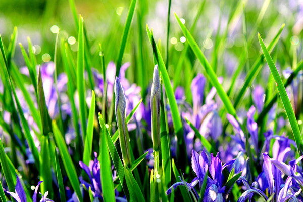 香港宝典全年资料大全