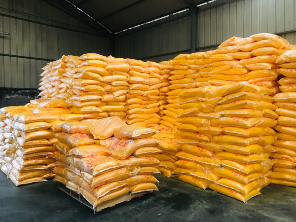 香港宝典全年资料大全